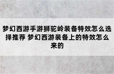 梦幻西游手游狮驼岭装备特效怎么选择推荐 梦幻西游装备上的特效怎么来的